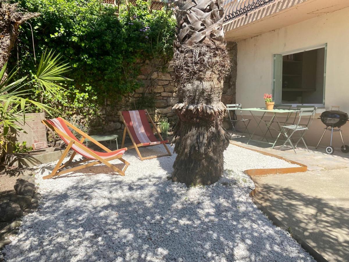 Gite Le Palmier - Perfectly Located Cosy Studio With Private Garden Puissalicon Buitenkant foto