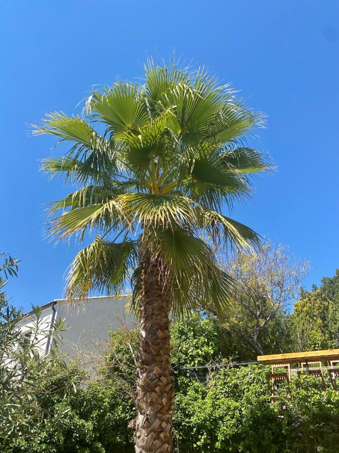 Gite Le Palmier - Perfectly Located Cosy Studio With Private Garden Puissalicon Buitenkant foto