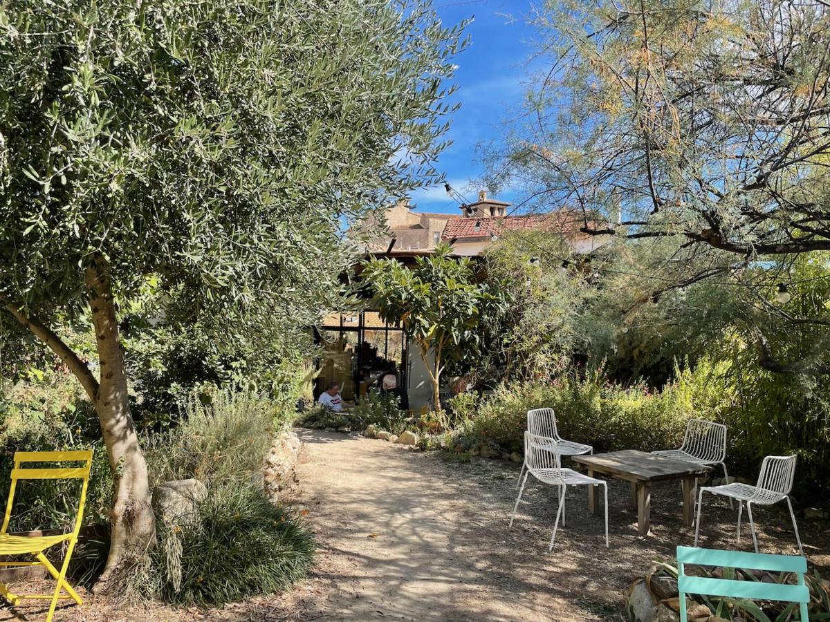 Gite Le Palmier - Perfectly Located Cosy Studio With Private Garden Puissalicon Buitenkant foto