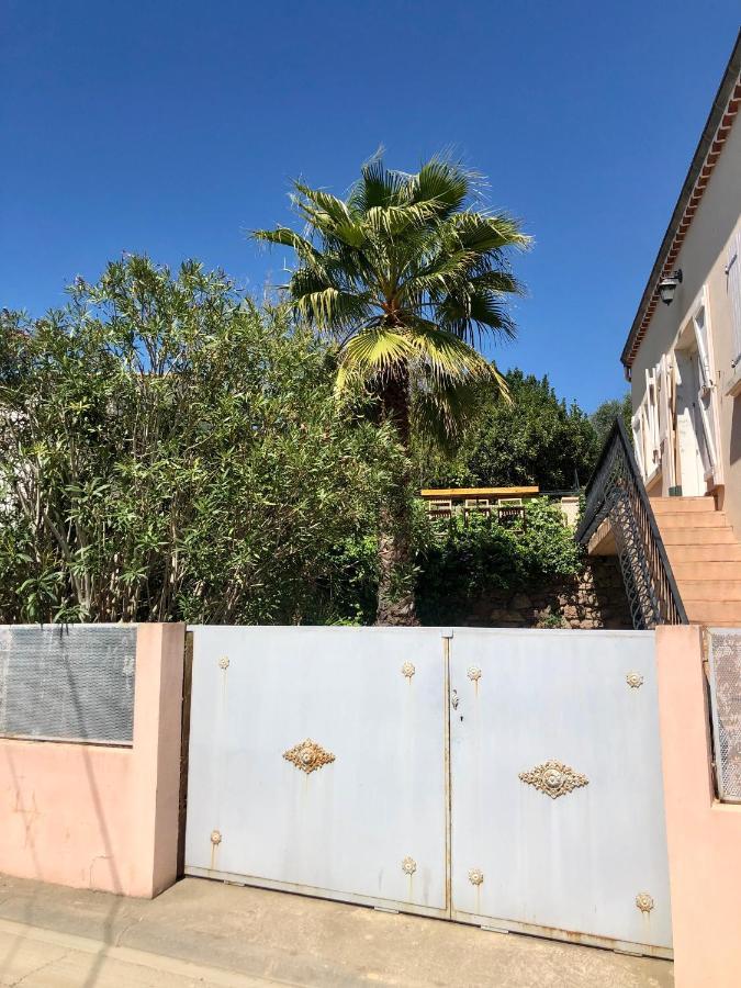 Gite Le Palmier - Perfectly Located Cosy Studio With Private Garden Puissalicon Buitenkant foto