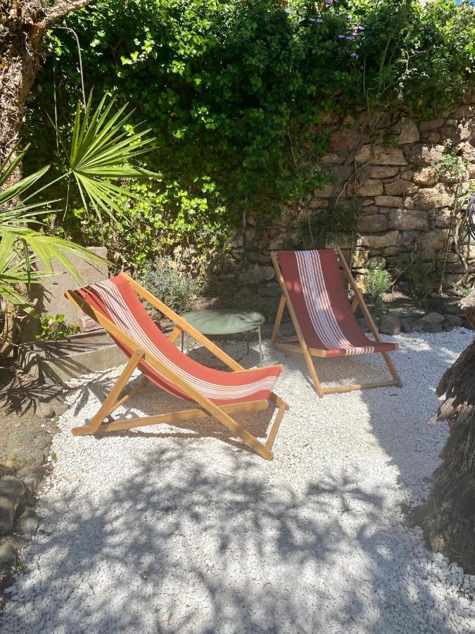 Gite Le Palmier - Perfectly Located Cosy Studio With Private Garden Puissalicon Buitenkant foto